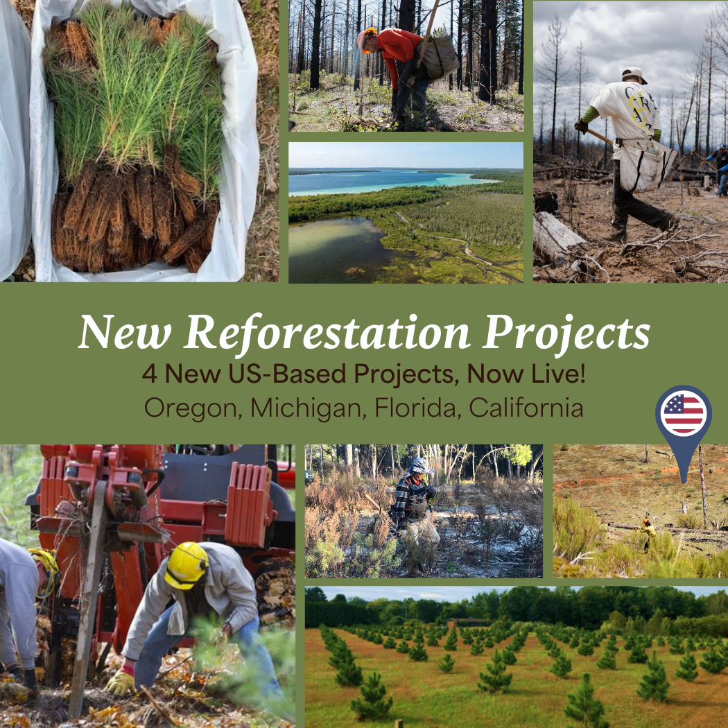 4 new US-based reforestation projects are now live