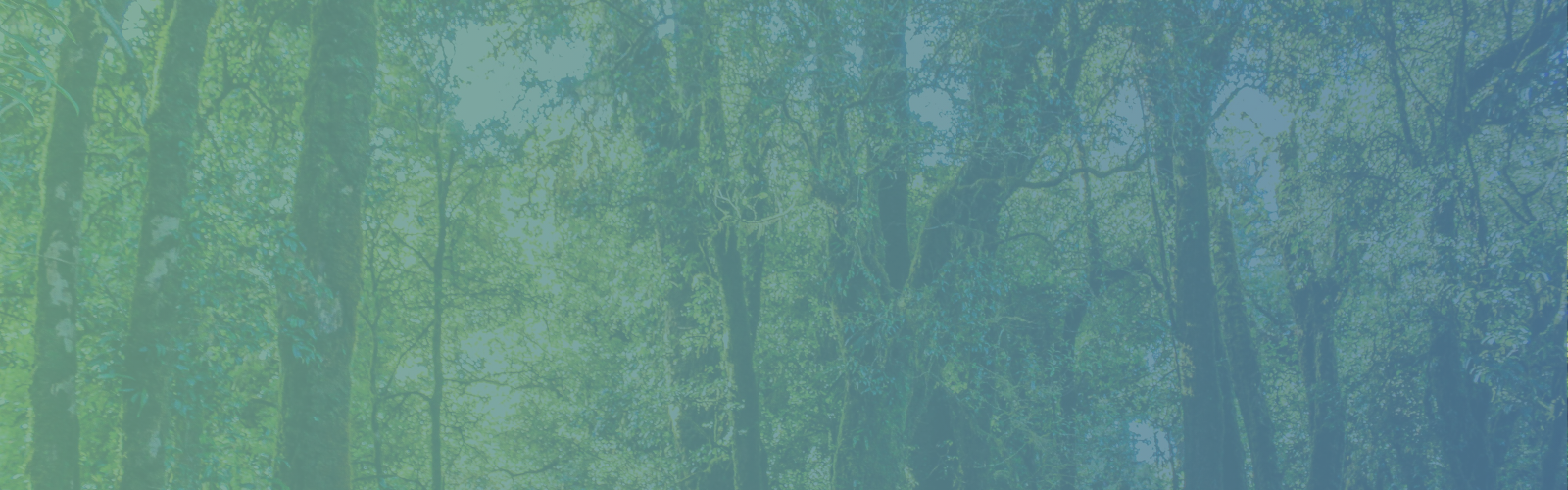 PrintReleaf Blog Listing Page Header