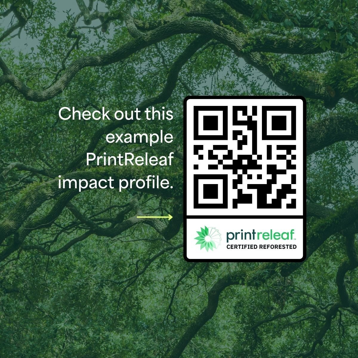 PrintReleaf QR code demo profile